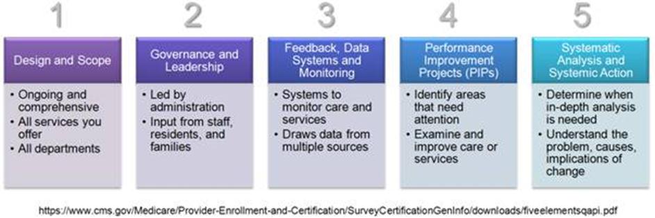 Five Elements of QAPI.jpg