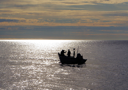 salmon fishing