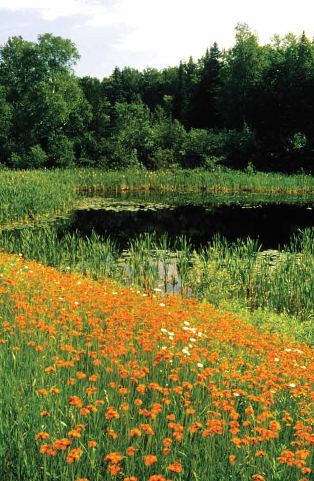 Blaney Park in Michigan's Upper Peninsula